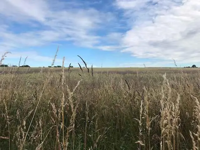 Lovely In בית נופש